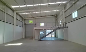 IMG_20240326_170237_851